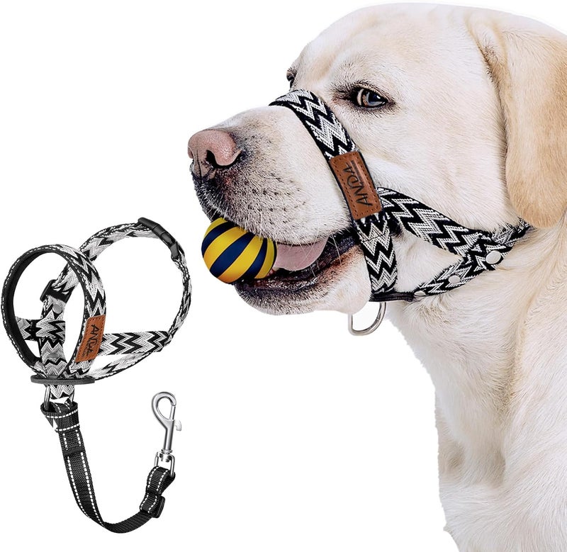 ANDA Gentle Leader for Dogs Headcollar - Ultra-Light No-Pull Dog Head Collar, Adjustable Breathable Muzzle Leash Prevents Pulling & Lunging, Comfort Fit for Small Medium Large Dogs - Image 1